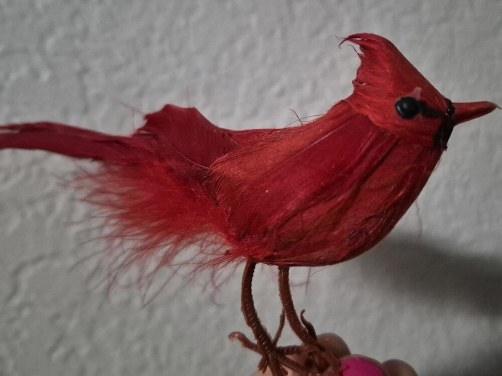 Christmas Bird Red Cardinal Real Feathers 5 Inch Long With Wires Attached
